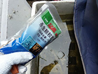 蚊虫防治方案